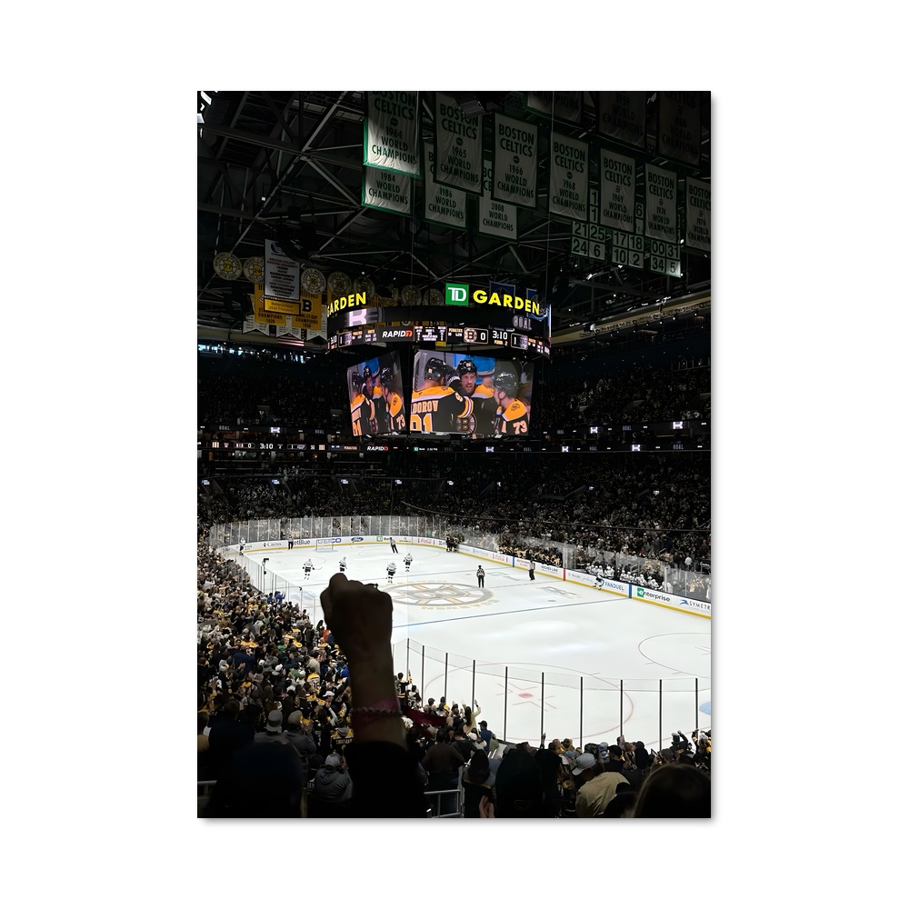 Poster L'Esprit des Bruins